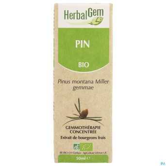 Herbalgem pin montagne    macerat 50ml