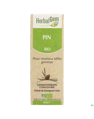 Herbalgem pin montagne    macerat 50ml