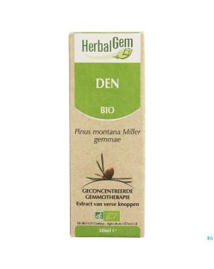 Herbalgem pin montagne    macerat 50ml