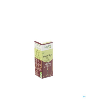 Herbalgem ronce    macerat 15ml