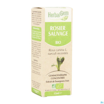 Herbalgem rosier sauvage    macerat 15ml