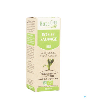 Herbalgem rosier sauvage    macerat 15ml