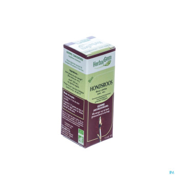 Herbalgem rosier sauvage    macerat 15ml