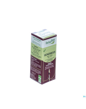 Herbalgem rosier sauvage    macerat 15ml