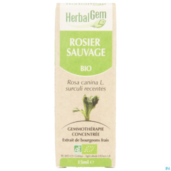 Herbalgem rosier sauvage    macerat 15ml