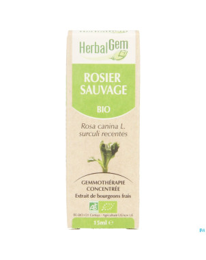 Herbalgem rosier sauvage    macerat 15ml