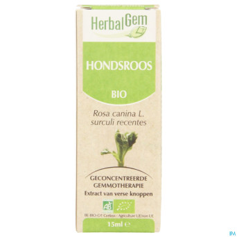 Herbalgem rosier sauvage    macerat 15ml