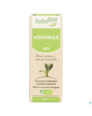 Herbalgem rosier sauvage    macerat 15ml