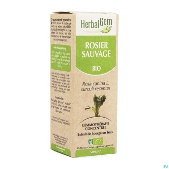 Herbalgem rosier sauvage    macerat 50ml
