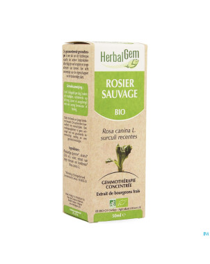 Herbalgem rosier sauvage    macerat 50ml