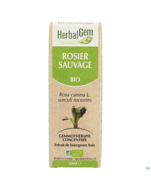 Herbalgem rosier sauvage    macerat 50ml