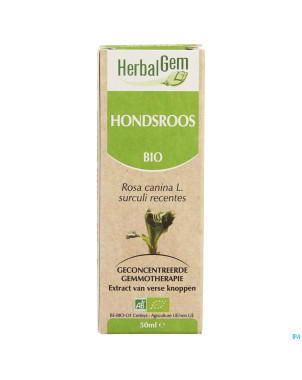 Herbalgem rosier sauvage    macerat 50ml