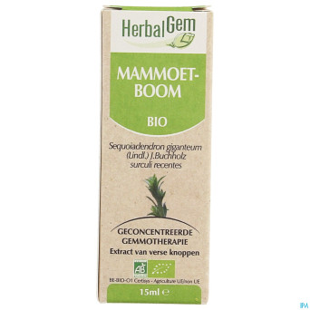 Herbalgem sequoia    macerat 15ml