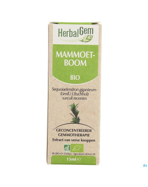 Herbalgem sequoia    macerat 15ml