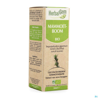 Herbalgem sequoia    macerat 50ml