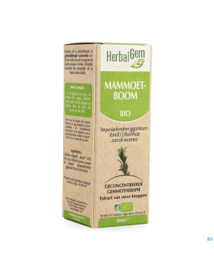 Herbalgem sequoia    macerat 50ml