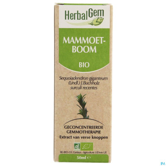 Herbalgem sequoia    macerat 50ml