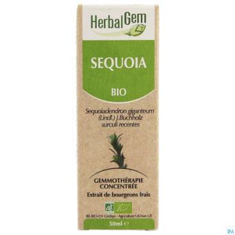 Herbalgem sequoia    macerat 50ml