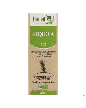 Herbalgem sequoia    macerat 50ml
