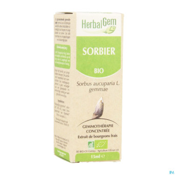 Herbalgem sorbier    macerat 15ml