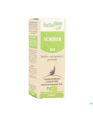 Herbalgem sorbier    macerat 15ml