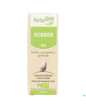 Herbalgem sorbier    macerat 15ml