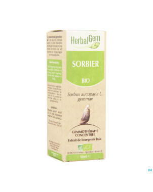 Herbalgem sorbier    macerat 50ml