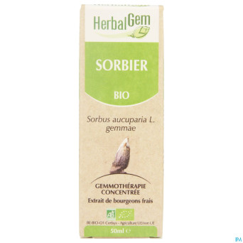 Herbalgem sorbier    macerat 50ml