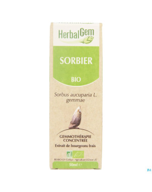Herbalgem sorbier    macerat 50ml