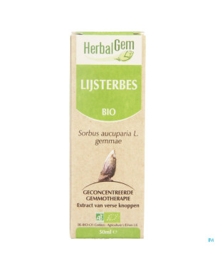 Herbalgem sorbier    macerat 50ml