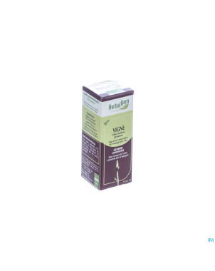Herbalgem vigne    macerat 15ml