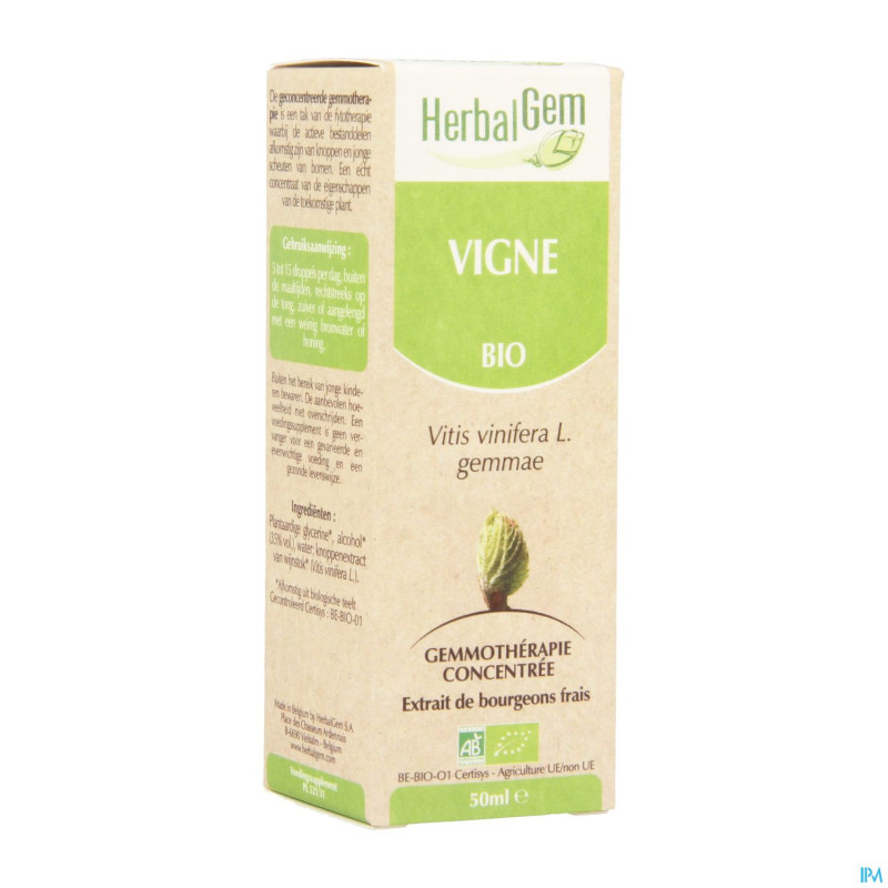 Herbalgem vigne    macerat 50ml