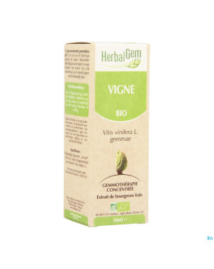 Herbalgem vigne    macerat 50ml
