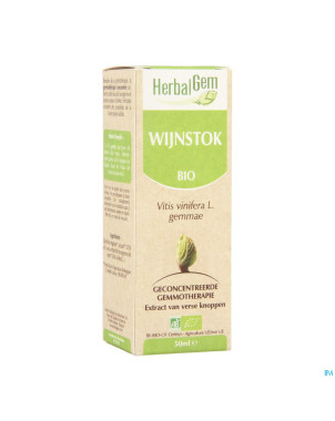 Herbalgem vigne    macerat 50ml