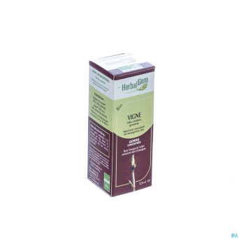 Herbalgem vigne    macerat 50ml