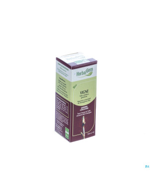 Herbalgem vigne    macerat 50ml