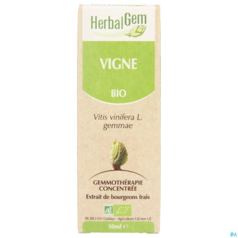 Herbalgem vigne    macerat 50ml