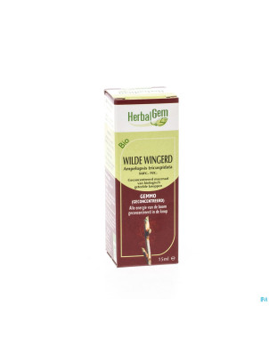 Herbalgem vigne vierge    macerat 15ml