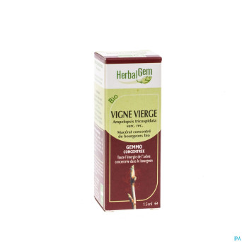 Herbalgem vigne vierge    macerat 15ml
