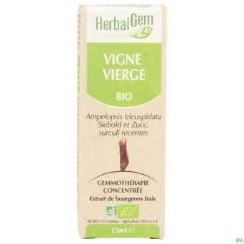 Herbalgem vigne vierge    macerat 15ml