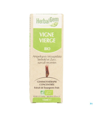 Herbalgem vigne vierge    macerat 15ml