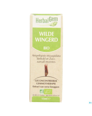 Herbalgem vigne vierge    macerat 15ml