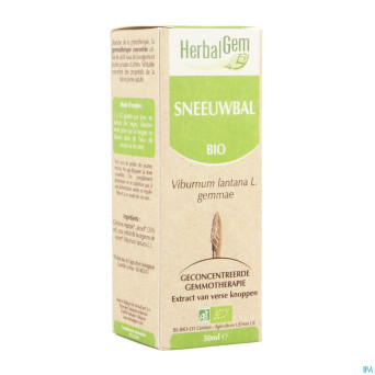 Herbalgem viorne    macerat 50ml