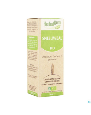 Herbalgem viorne    macerat 50ml