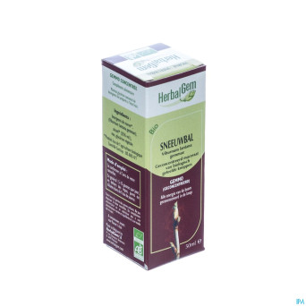 Herbalgem viorne    macerat 50ml