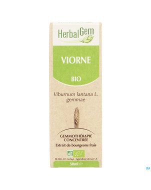 Herbalgem viorne    macerat 50ml