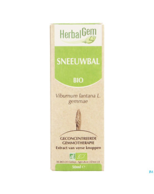 Herbalgem viorne    macerat 50ml