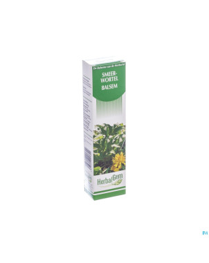 Herbalgem baume grande consoude    tube 60g