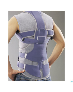 Lombax dorso ceinture lombaire    t1 845